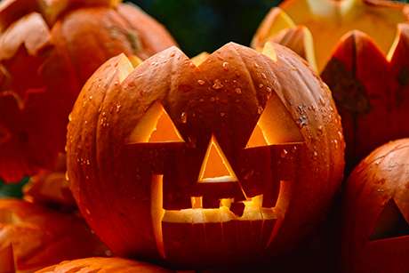 Programa Halloween