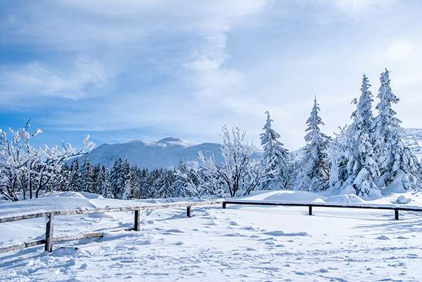 -20% OFF WINTER OFFER