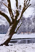 Special Winter Offer