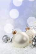 Dream Christmas Eve